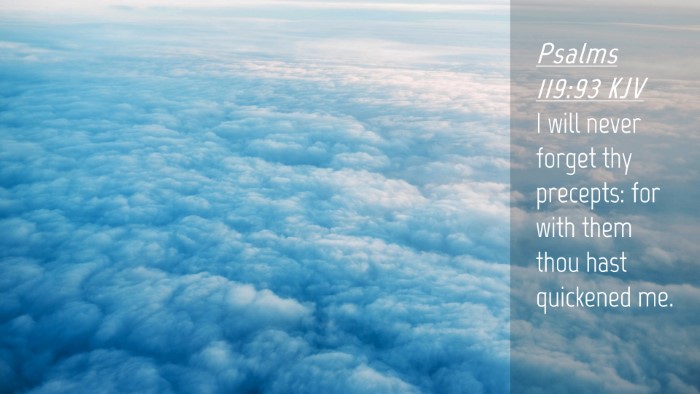 Picture 04 - Psalms 119:93 KJV Desktop Wallpaper - I will never forget thy precepts: for with them - Desktop Bible Verse Wallpaper