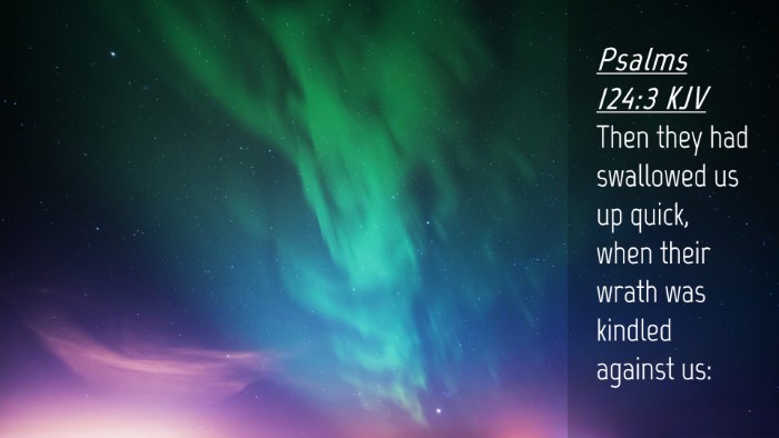 Picture 04 - Psalms 124:3 KJV Desktop Wallpaper - Then they had swallowed us up quick, when their - Desktop Bible Verse Wallpaper