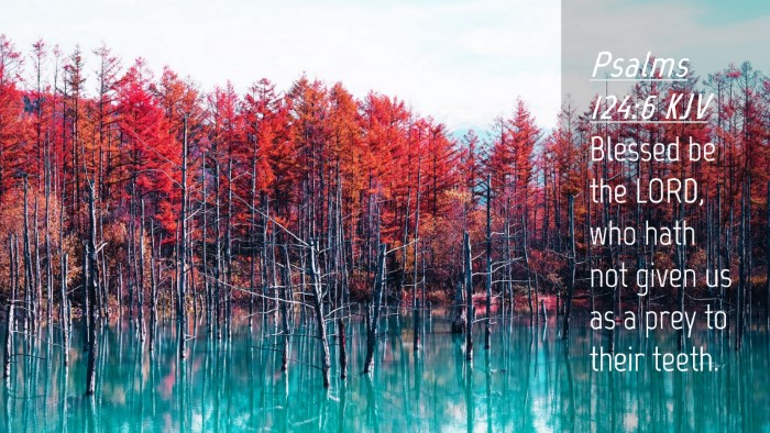 Picture 04 - Psalms 124:6 KJV Desktop Wallpaper - Blessed be the LORD, who hath not given us as a - Desktop Bible Verse Wallpaper