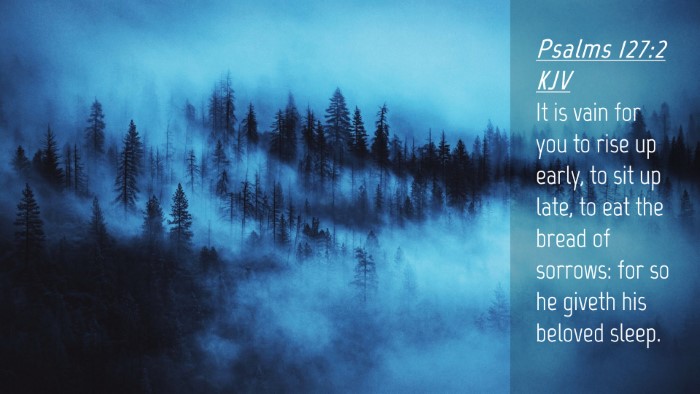 Picture 04 - Psalms 127:2 KJV Desktop Wallpaper - It is vain for you to rise up early, to sit up - Desktop Bible Verse Wallpaper