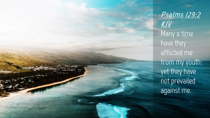 Picture 04 - Psalms 129:2 KJV Desktop Wallpaper - Many a time have they afflicted me from my youth: - Desktop Bible Verse Wallpaper