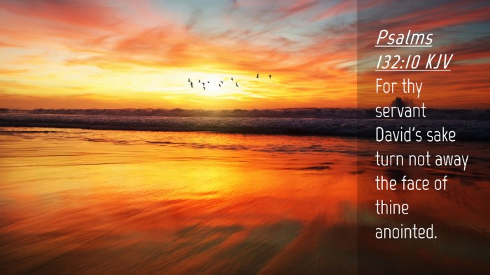 Picture 04 - Psalms 132:10 KJV Desktop Wallpaper - For thy servant David's sake turn not away the - Desktop Bible Verse Wallpaper