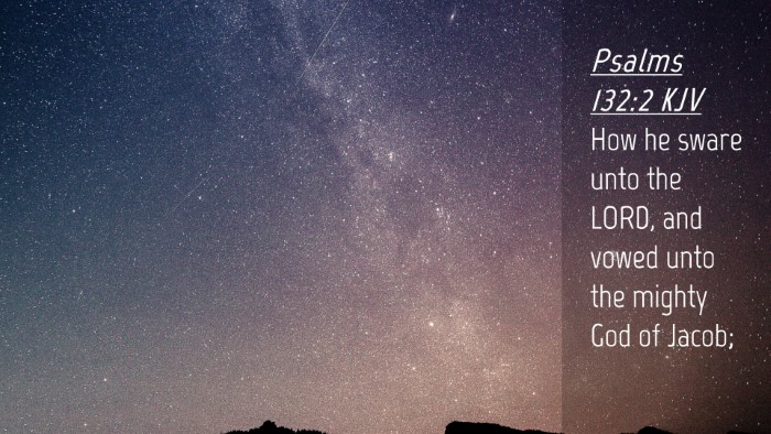Picture 04 - Psalms 132:2 KJV Desktop Wallpaper - How he sware unto the LORD, and vowed unto the - Desktop Bible Verse Wallpaper