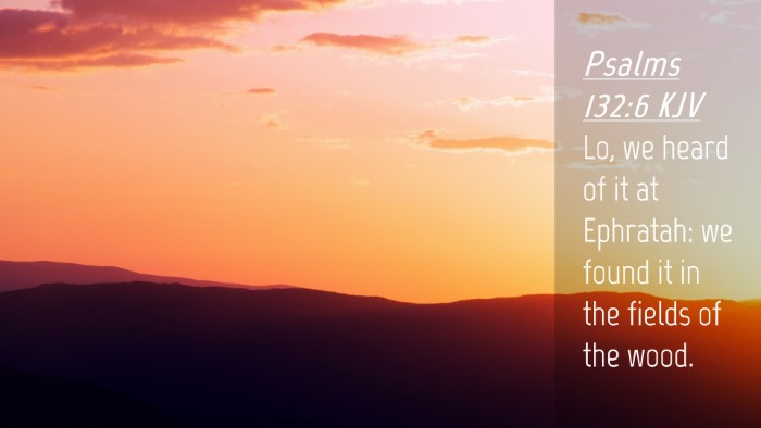 Picture 04 - Psalms 132:6 KJV Desktop Wallpaper - Lo, we heard of it at Ephratah: we found it in - Desktop Bible Verse Wallpaper