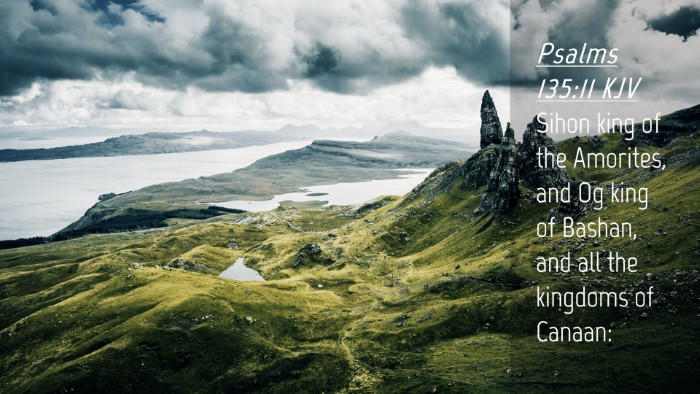 Picture 04 - Psalms 135:11 KJV Desktop Wallpaper - Sihon king of the Amorites, and Og king of - Desktop Bible Verse Wallpaper