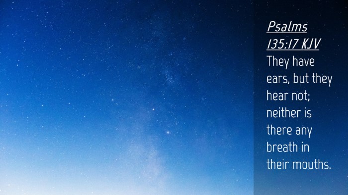 Picture 04 - Psalms 135:17 KJV Desktop Wallpaper - They have ears, but they hear not; neither is - Desktop Bible Verse Wallpaper