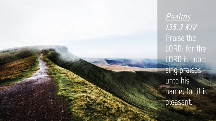 Picture 04 - Psalms 135:3 KJV Desktop Wallpaper - Praise the LORD; for the LORD is good: sing - Desktop Bible Verse Wallpaper