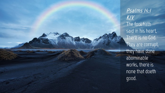Picture 04 - Psalms 14:1 KJV Desktop Wallpaper - The fool hath said in his heart, There is no God. - Desktop Bible Verse Wallpaper