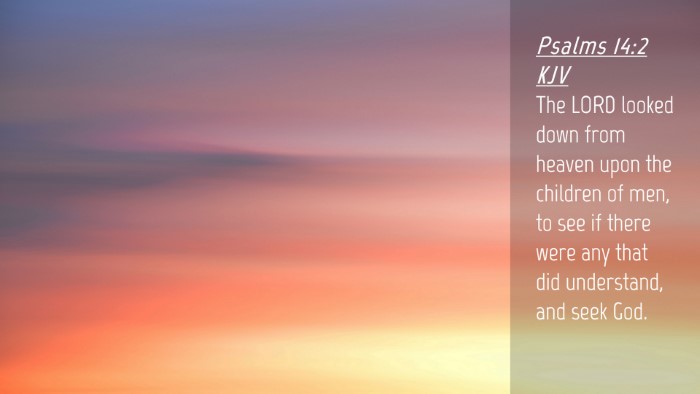 Picture 04 - Psalms 14:2 KJV Desktop Wallpaper - The LORD looked down from heaven upon the - Desktop Bible Verse Wallpaper