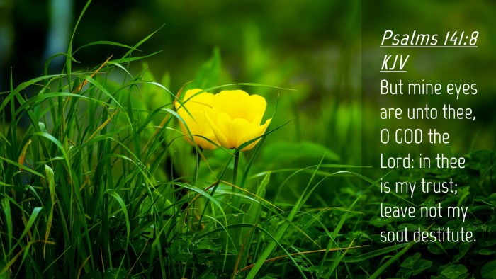 Picture 04 - Psalms 141:8 KJV Desktop Wallpaper - But mine eyes are unto thee, O GOD the Lord: in - Desktop Bible Verse Wallpaper