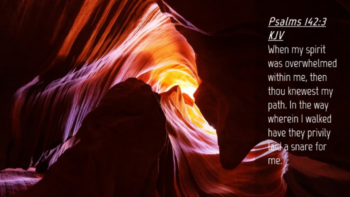 Picture 04 - Psalms 142:3 KJV Desktop Wallpaper - When my spirit was overwhelmed within me, then - Desktop Bible Verse Wallpaper