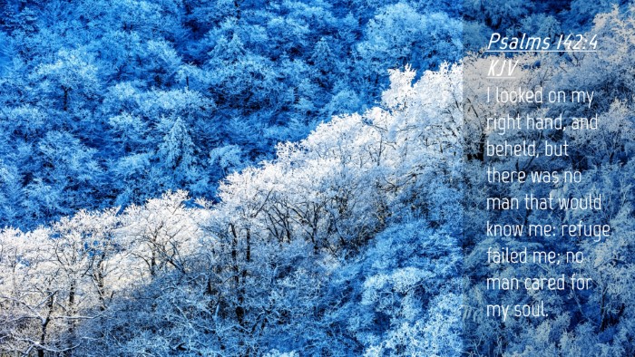 Picture 04 - Psalms 142:4 KJV Desktop Wallpaper - I looked on my right hand, and beheld, but there - Desktop Bible Verse Wallpaper