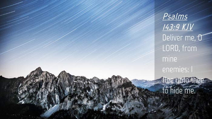 Picture 04 - Psalms 143:9 KJV Desktop Wallpaper - Deliver me, O LORD, from mine enemies: I flee - Desktop Bible Verse Wallpaper