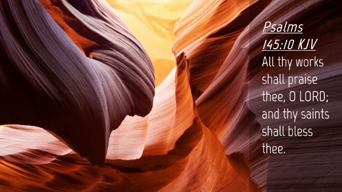Picture 04 - Psalms 145:10 KJV Desktop Wallpaper - All thy works shall praise thee, O LORD; and thy - Desktop Bible Verse Wallpaper