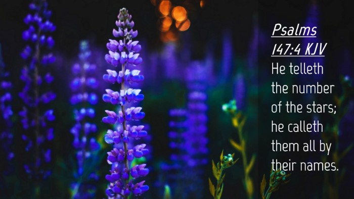 Picture 04 - Psalms 147:4 KJV Desktop Wallpaper - He telleth the number of the stars; he calleth - Desktop Bible Verse Wallpaper