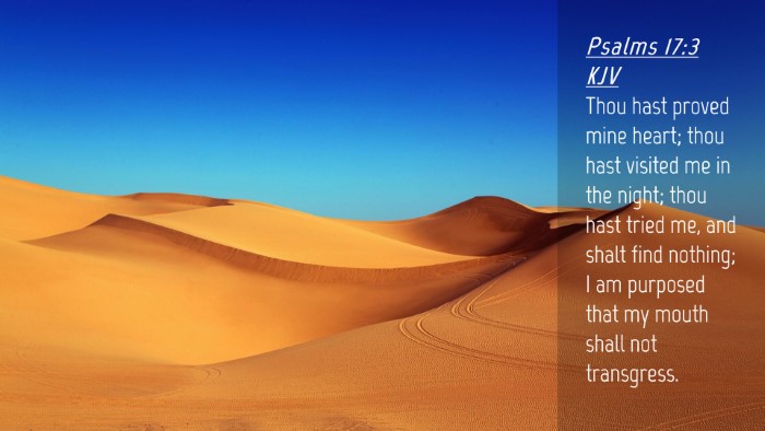 Picture 04 - Psalms 17:3 KJV Desktop Wallpaper - Thou hast proved mine heart; thou hast visited me - Desktop Bible Verse Wallpaper