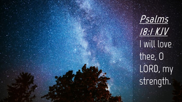 Picture 04 - Psalms 18:1 KJV Desktop Wallpaper - I will love thee, O LORD, my - Desktop Bible Verse Wallpaper