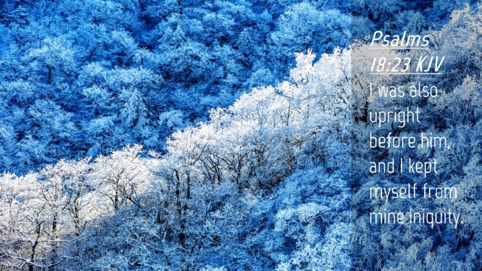 Picture 04 - Psalms 18:23 KJV Desktop Wallpaper - I was also upright before him, and I kept myself - Desktop Bible Verse Wallpaper