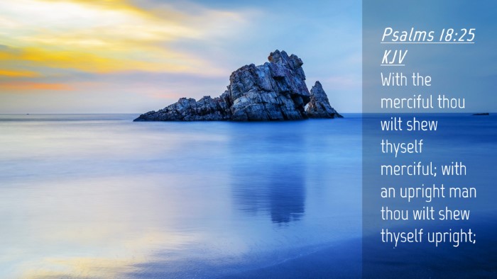 Picture 04 - Psalms 18:25 KJV Desktop Wallpaper - With the merciful thou wilt shew thyself - Desktop Bible Verse Wallpaper