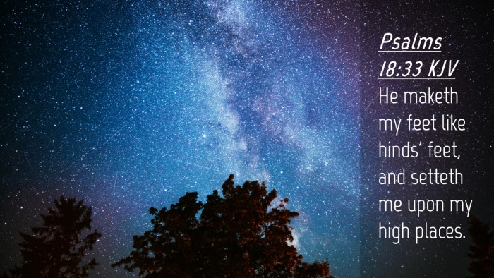 Picture 04 - Psalms 18:33 KJV Desktop Wallpaper - He maketh my feet like hinds' feet, and setteth - Desktop Bible Verse Wallpaper