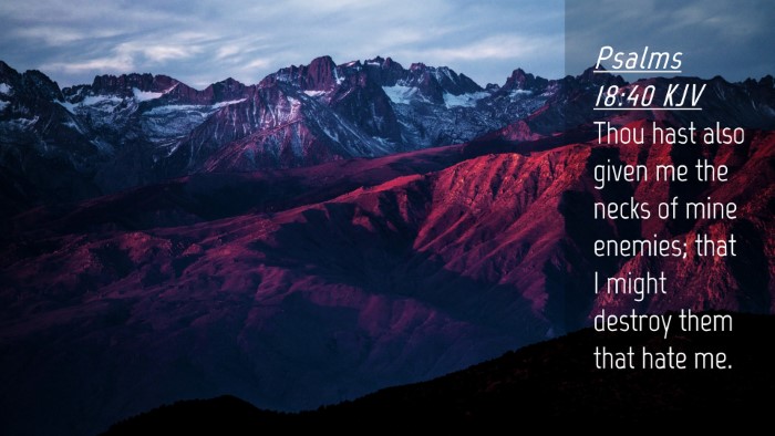 Picture 04 - Psalms 18:40 KJV Desktop Wallpaper - Thou hast also given me the necks of mine - Desktop Bible Verse Wallpaper