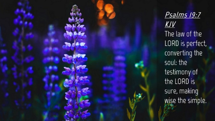 Picture 04 - Psalms 19:7 KJV Desktop Wallpaper - The law of the LORD is perfect, converting the - Desktop Bible Verse Wallpaper