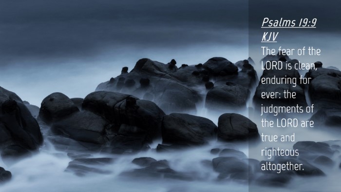 Picture 04 - Psalms 19:9 KJV Desktop Wallpaper - The fear of the LORD is clean, enduring for ever: - Desktop Bible Verse Wallpaper