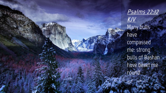 Picture 04 - Psalms 22:12 KJV Desktop Wallpaper - Many bulls have compassed me: strong bulls of - Desktop Bible Verse Wallpaper