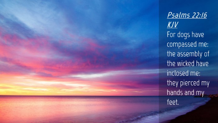 Picture 04 - Psalms 22:16 KJV Desktop Wallpaper - For dogs have compassed me: the assembly of the - Desktop Bible Verse Wallpaper
