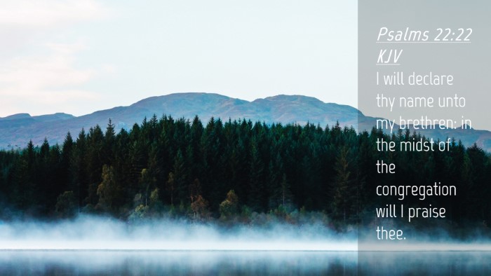 Picture 04 - Psalms 22:22 KJV Desktop Wallpaper - I will declare thy name unto my brethren: in the - Desktop Bible Verse Wallpaper