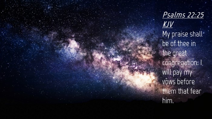 Picture 04 - Psalms 22:25 KJV Desktop Wallpaper - My praise shall be of thee in the great - Desktop Bible Verse Wallpaper