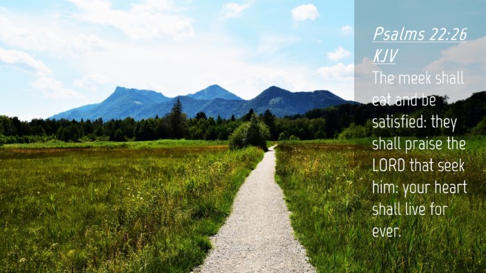 Picture 04 - Psalms 22:26 KJV Desktop Wallpaper - The meek shall eat and be satisfied: they shall - Desktop Bible Verse Wallpaper