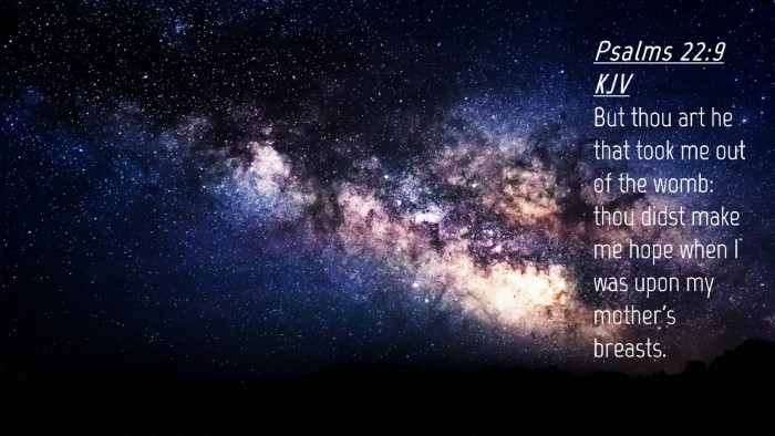 Picture 04 - Psalms 22:9 KJV Desktop Wallpaper - But thou art he that took me out of the womb: - Desktop Bible Verse Wallpaper