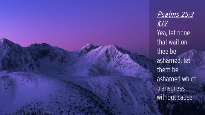 Picture 04 - Psalms 25:3 KJV Desktop Wallpaper - Yea, let none that wait on thee be ashamed: let - Desktop Bible Verse Wallpaper