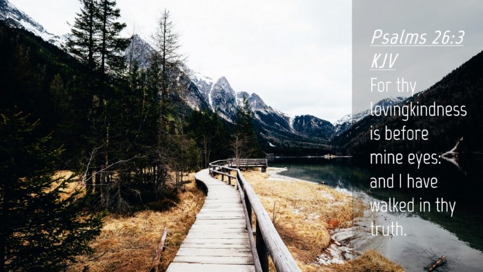 Picture 04 - Psalms 26:3 KJV Desktop Wallpaper - For thy lovingkindness is before mine eyes: and I - Desktop Bible Verse Wallpaper