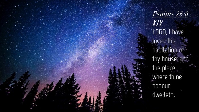 Picture 04 - Psalms 26:8 KJV Desktop Wallpaper - LORD, I have loved the habitation of thy house, - Desktop Bible Verse Wallpaper