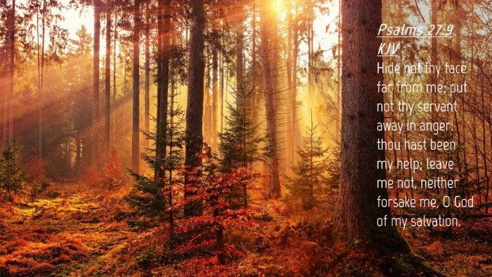 Picture 04 - Psalms 27:9 KJV Desktop Wallpaper - Hide not thy face far from me; put not thy - Desktop Bible Verse Wallpaper