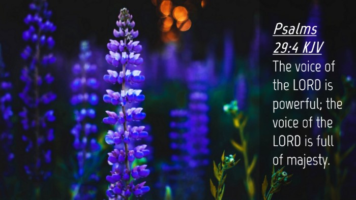 Picture 04 - Psalms 29:4 KJV Desktop Wallpaper - The voice of the LORD is powerful; the voice of - Desktop Bible Verse Wallpaper