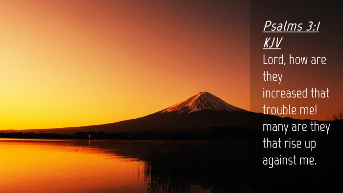 Picture 04 - Psalms 3:1 KJV Desktop Wallpaper - Lord, how are they increased that trouble me! - Desktop Bible Verse Wallpaper