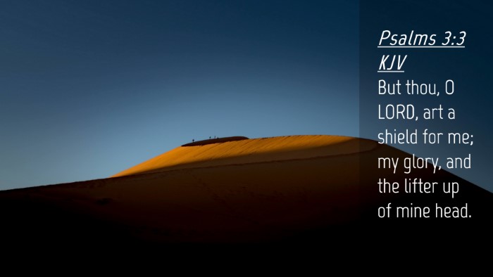 Picture 04 - Psalms 3:3 KJV Desktop Wallpaper - But thou, O LORD, art a shield for me; my glory, - Desktop Bible Verse Wallpaper