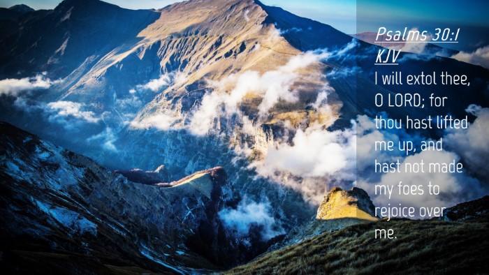 Picture 04 - Psalms 30:1 KJV Desktop Wallpaper - I will extol thee, O LORD; for thou hast lifted - Desktop Bible Verse Wallpaper