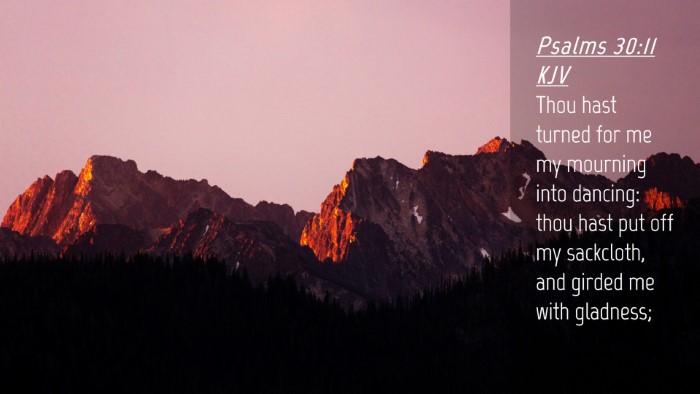 Picture 04 - Psalms 30:11 KJV Desktop Wallpaper - Thou hast turned for me my mourning into dancing: - Desktop Bible Verse Wallpaper