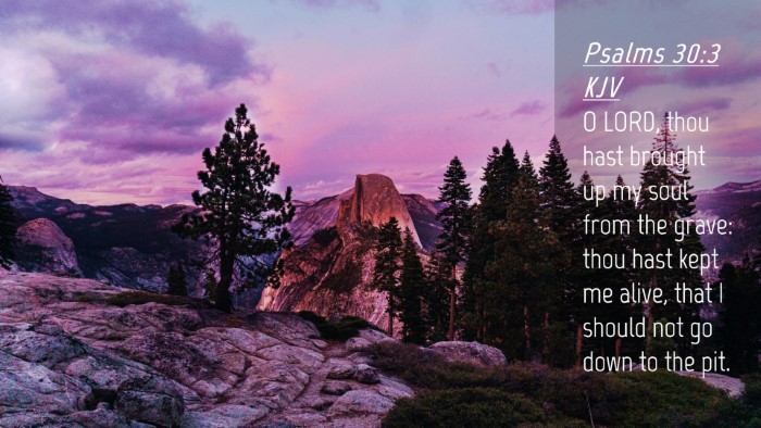 Picture 04 - Psalms 30:3 KJV Desktop Wallpaper - O LORD, thou hast brought up my soul from the - Desktop Bible Verse Wallpaper