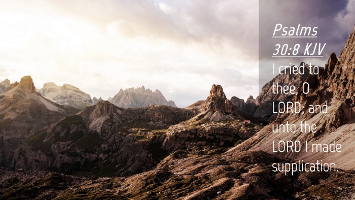 Picture 04 - Psalms 30:8 KJV Desktop Wallpaper - I cried to thee, O LORD; and unto the LORD I made - Desktop Bible Verse Wallpaper
