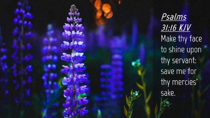 Picture 04 - Psalms 31:16 KJV Desktop Wallpaper - Make thy face to shine upon thy servant: save me - Desktop Bible Verse Wallpaper