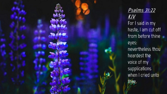 Picture 04 - Psalms 31:22 KJV Desktop Wallpaper - For I said in my haste, I am cut off from before - Desktop Bible Verse Wallpaper