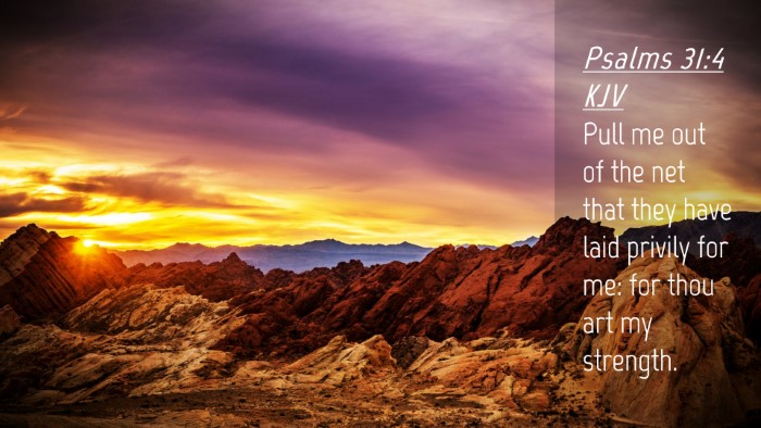 Picture 04 - Psalms 31:4 KJV Desktop Wallpaper - Pull me out of the net that they have laid - Desktop Bible Verse Wallpaper