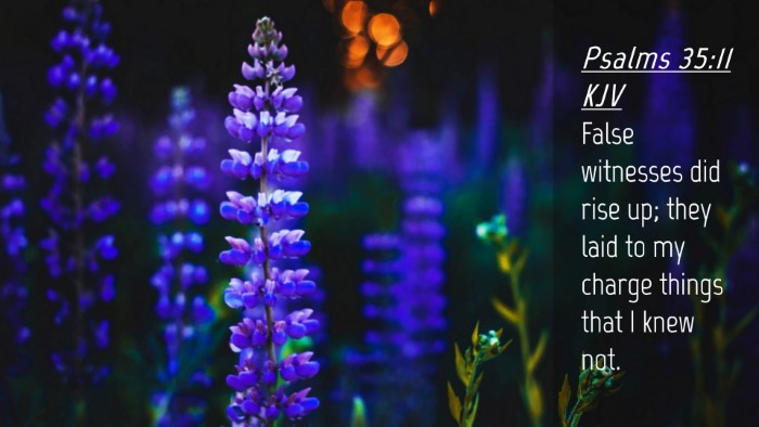 Picture 04 - Psalms 35:11 KJV Desktop Wallpaper - False witnesses did rise up; they laid to my - Desktop Bible Verse Wallpaper