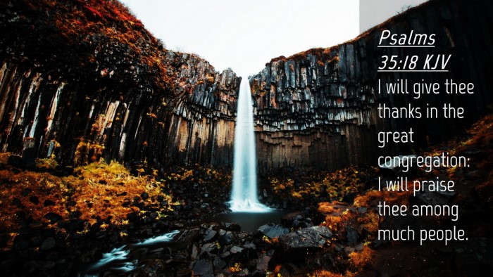 Picture 04 - Psalms 35:18 KJV Desktop Wallpaper - I will give thee thanks in the great - Desktop Bible Verse Wallpaper