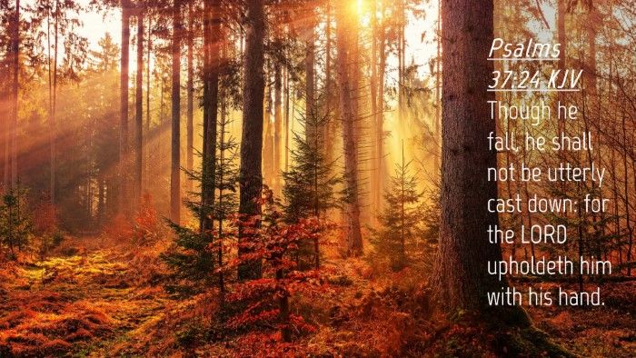 Picture 04 - Psalms 37:24 KJV Desktop Wallpaper - Though he fall, he shall not be utterly cast - Desktop Bible Verse Wallpaper